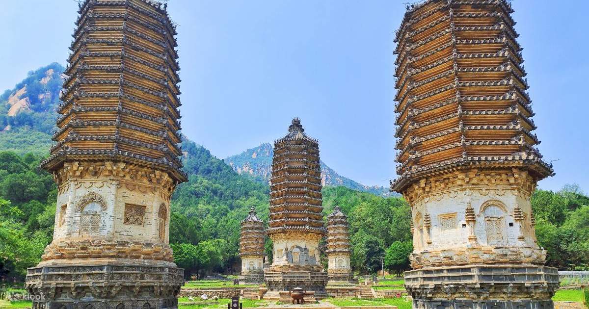 RAKUDA shina FARSHINA × OLD MOUNTAIN Silver Mountain Pagoda Forest - Klook United States